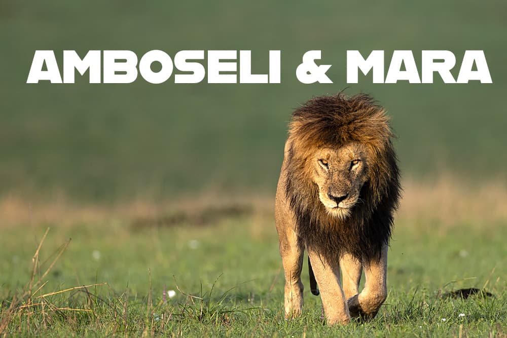Kenya