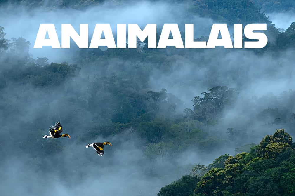 Valparai