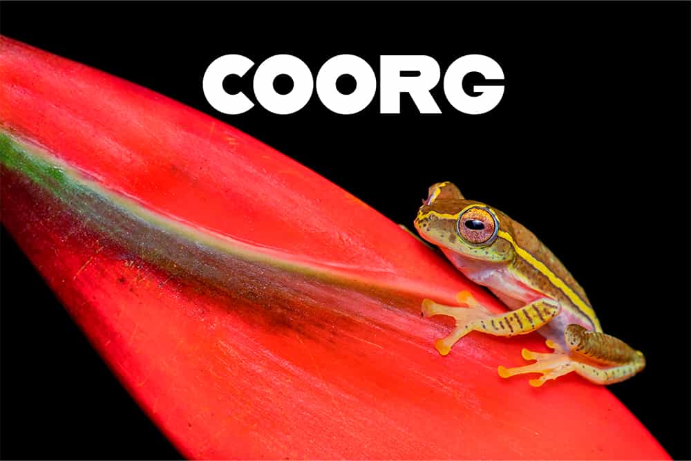 Coorg