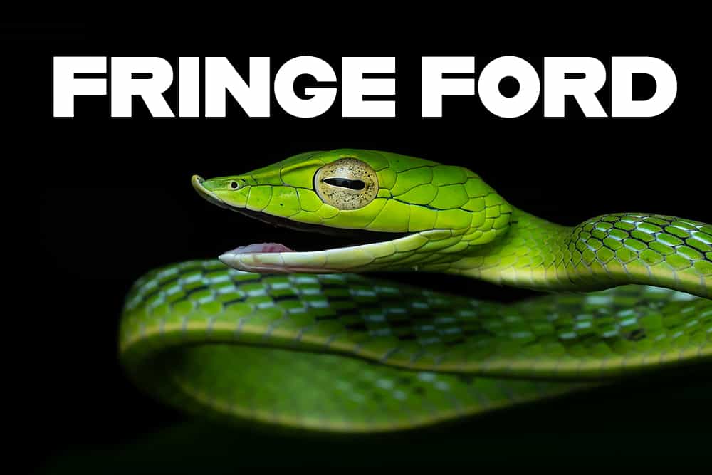 Fringe Ford