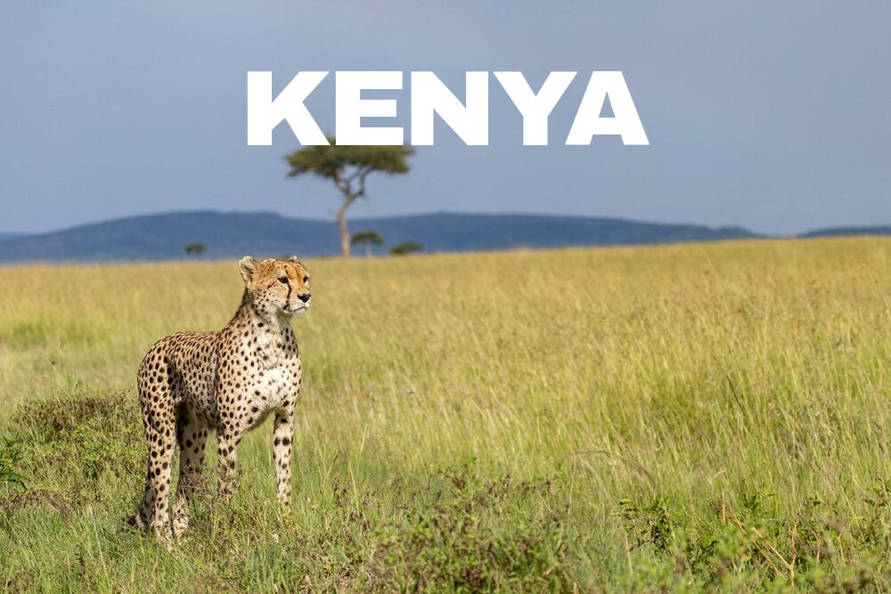 Ol Pejeta