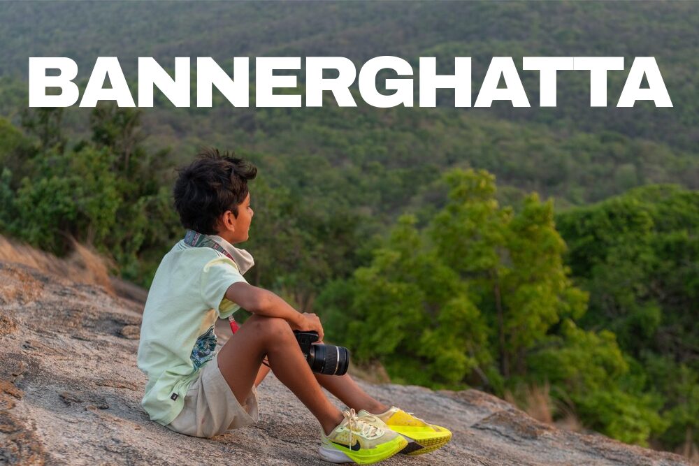 Bannerghatta