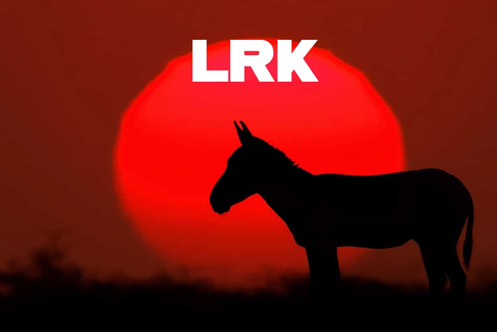 Little Rann of Kutch