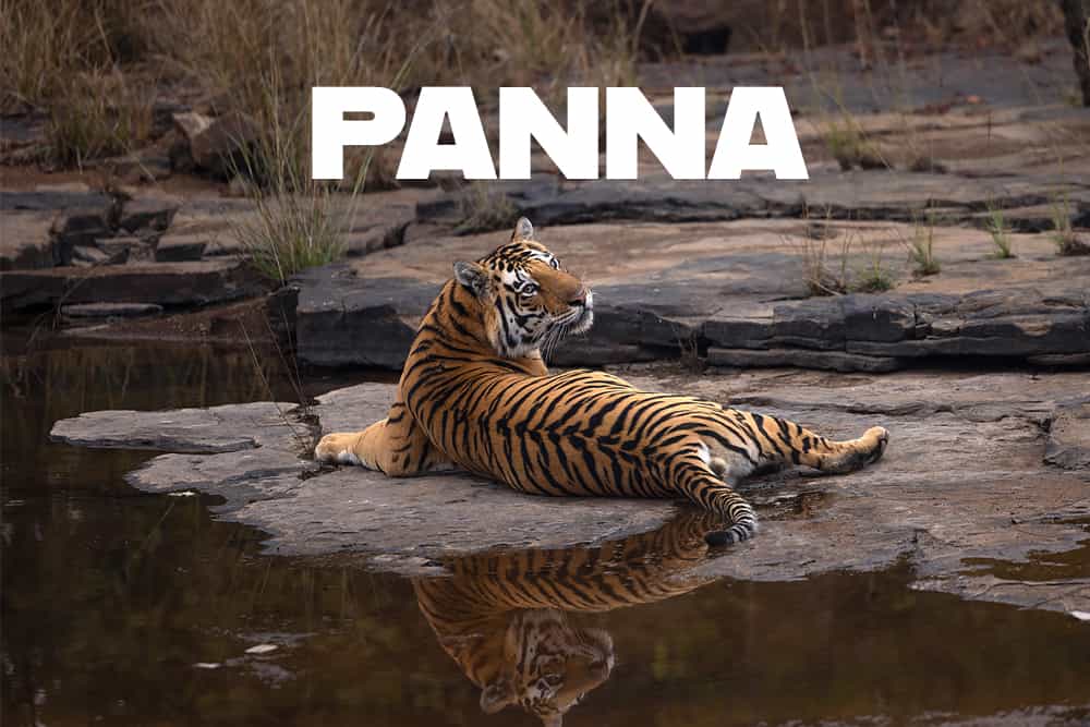 Panna