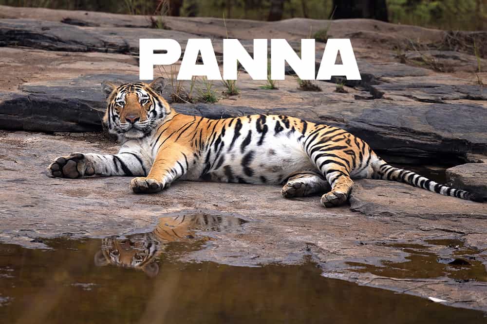 Panna