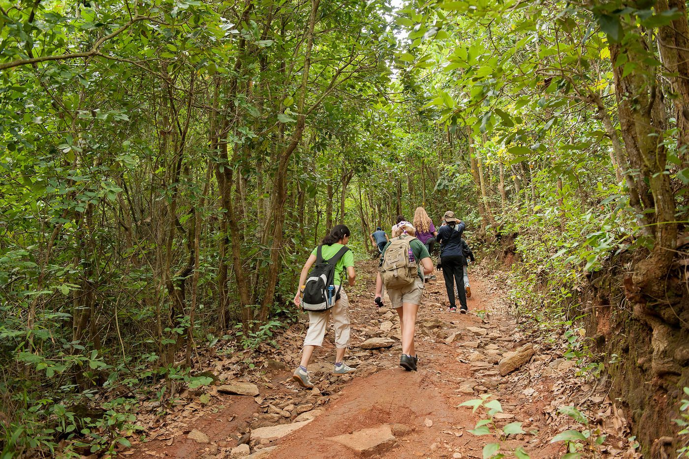 Kids Trekking on our Kids Nature Camp in Bannerghatta near Bangalore
