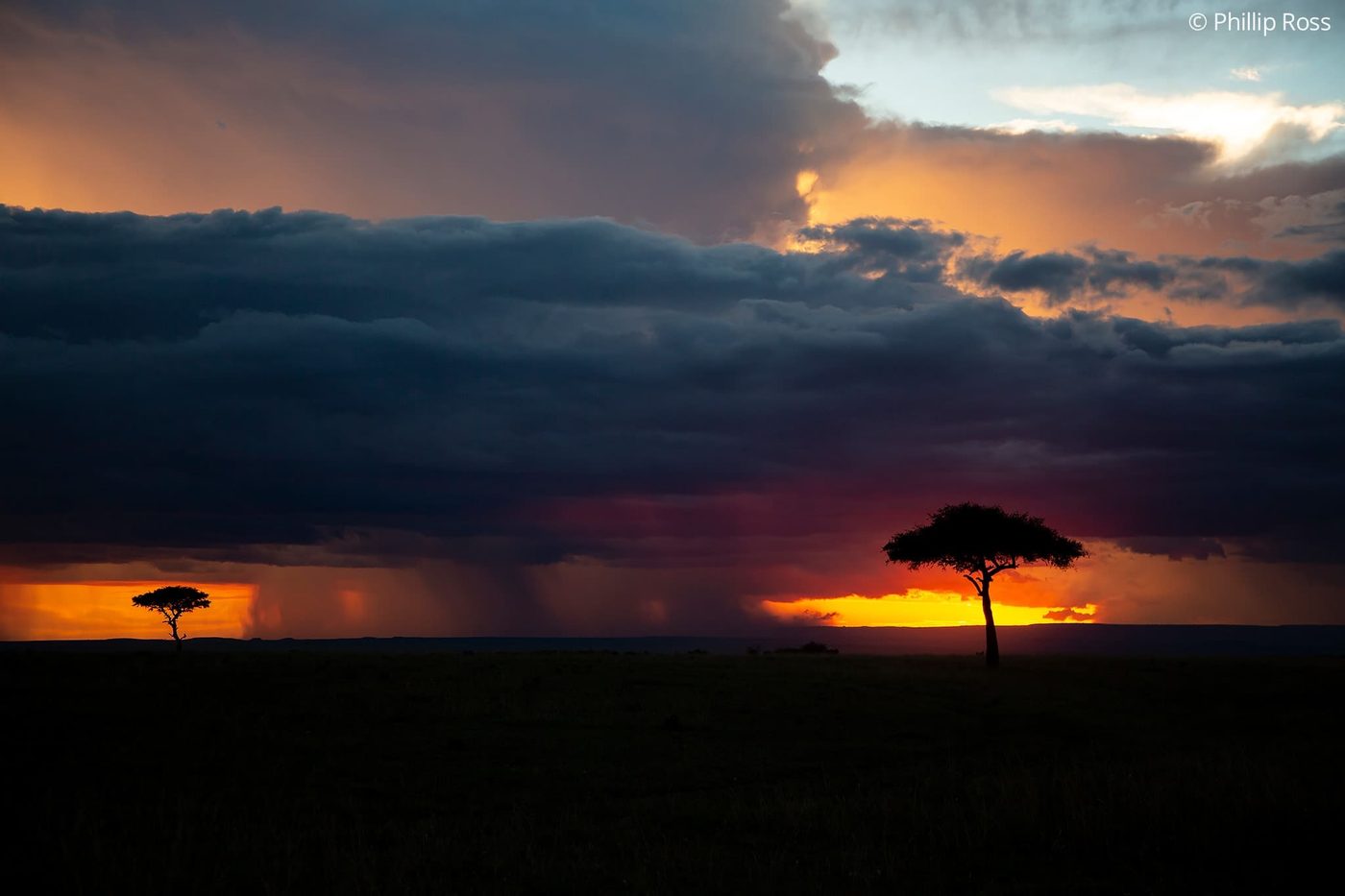 Sunset over the Maasai Mara