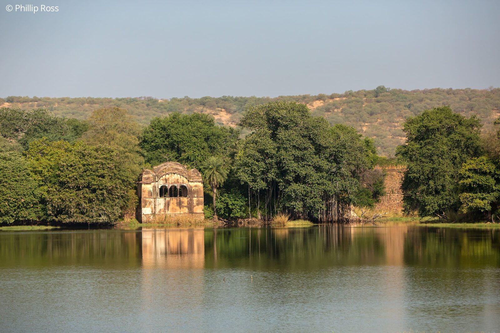 Ranthambore Scape on a Wildlife Photography Tour