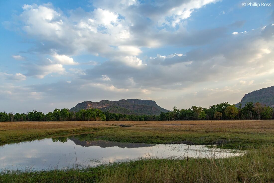 Bandhavgarh's hills and a meadow pool under a cloudy sky