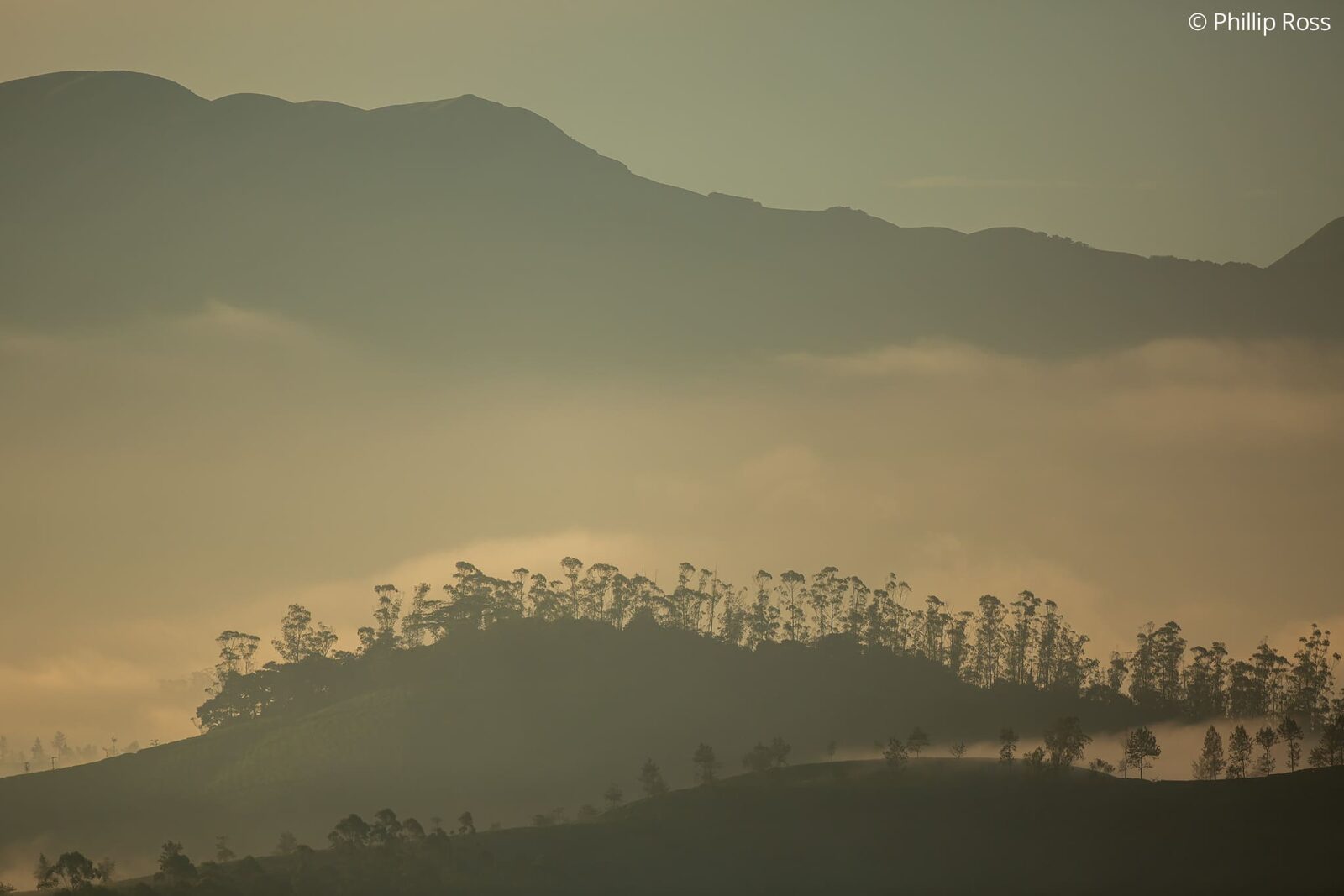The Anaimalai landscape near Valparai