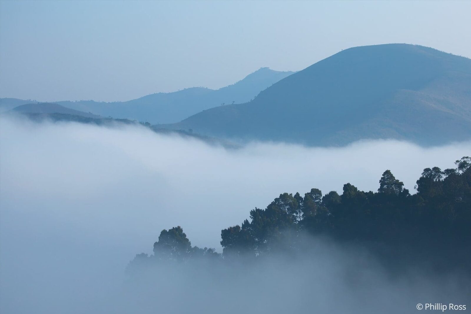 Valparai offers exceptional landscape photography opportunities