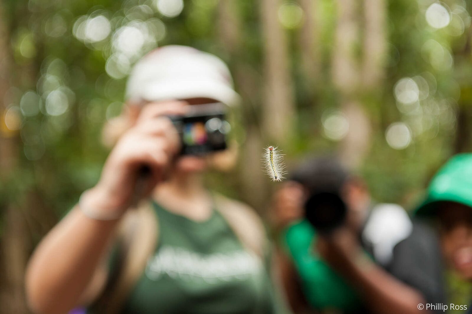 Kids Wildlife Photography of a caterpillar on our Kids Nature Camp