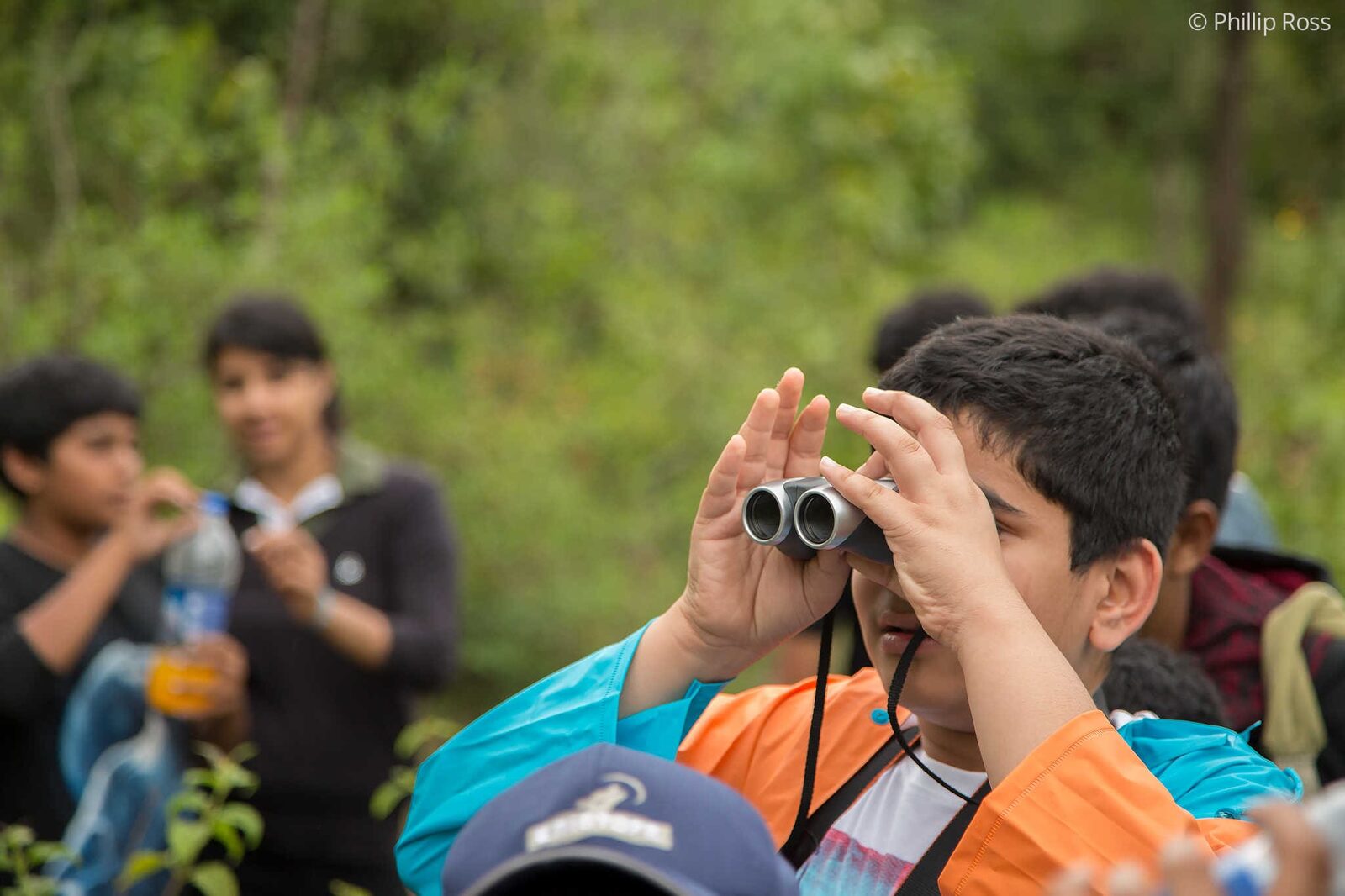 Kids looking at Birds on a birding trek on our Kids Nature Camp near Bangalore