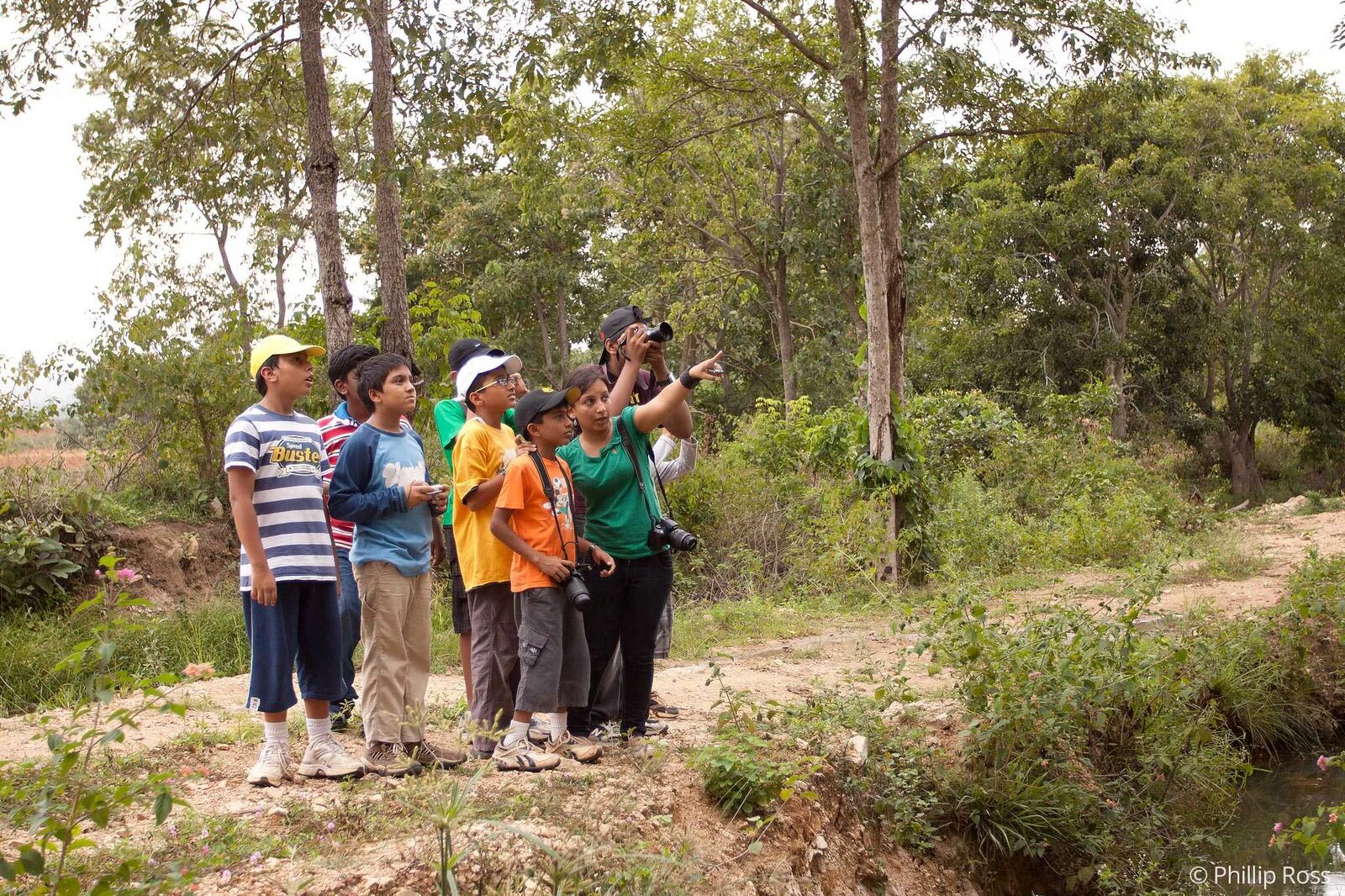 Kids Wildlife Birdwatching on our Kids Nature Camp to Bannerghatta near Bangalore