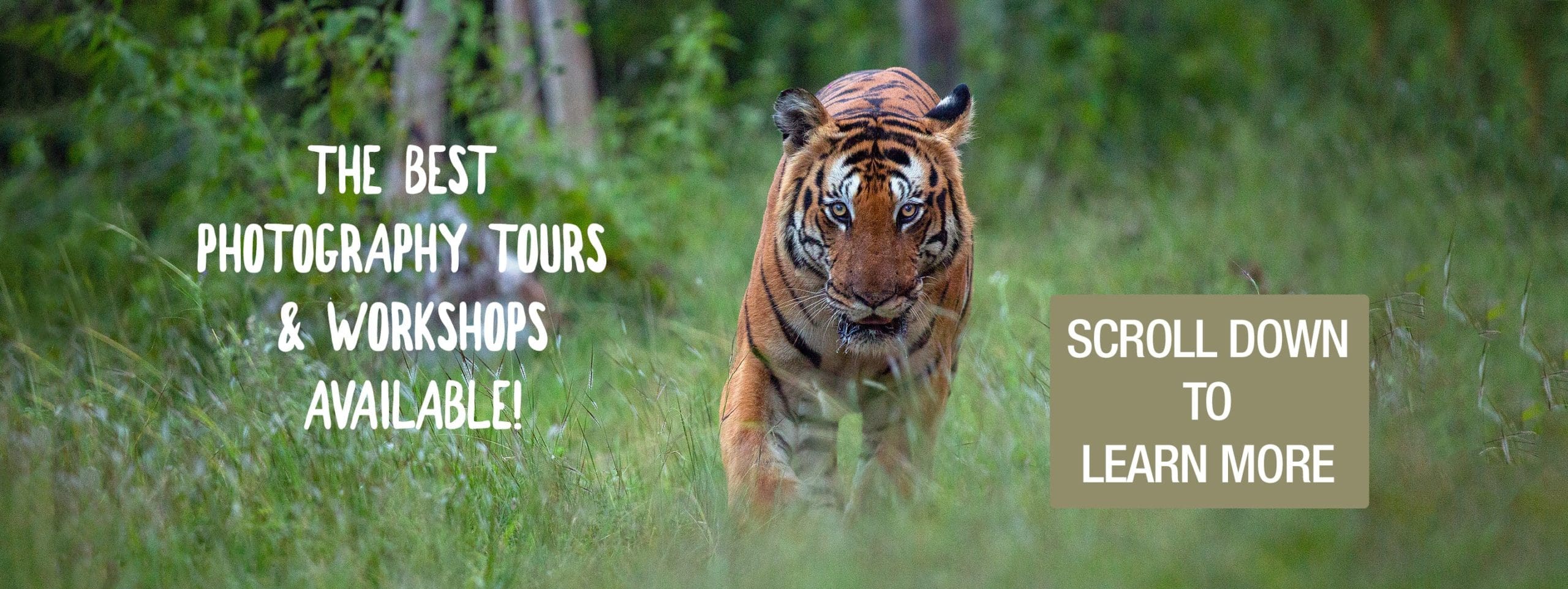 The OutbackExperience Wildlife Photography Tours And Photography ...