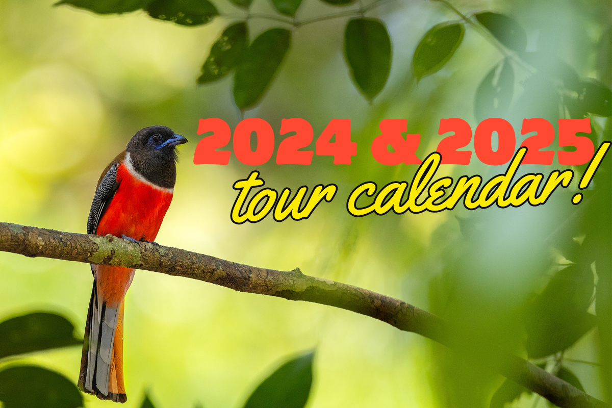 2024 & 2025 Tour Calendar The Outback Experience